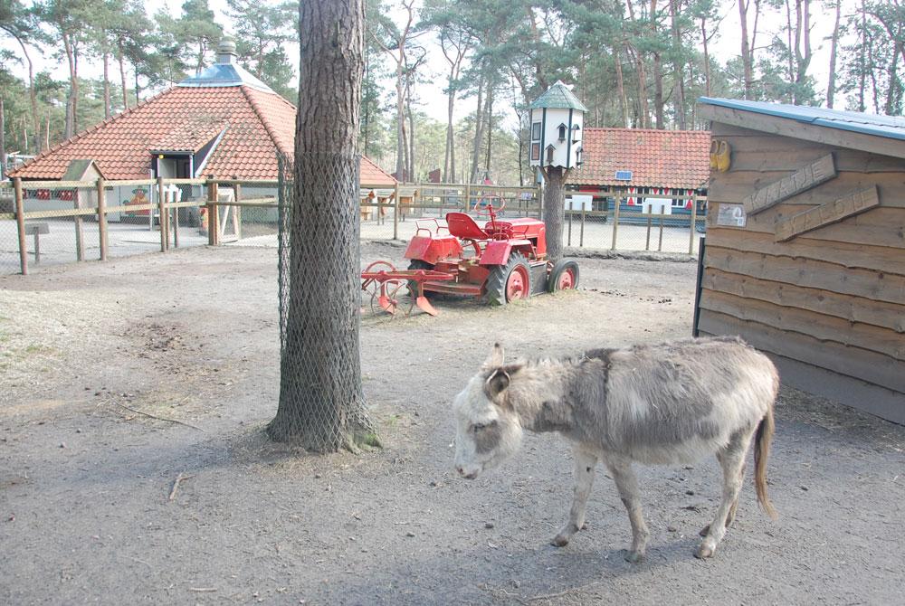 Kinderboerderij, Landal Het Vennenbos