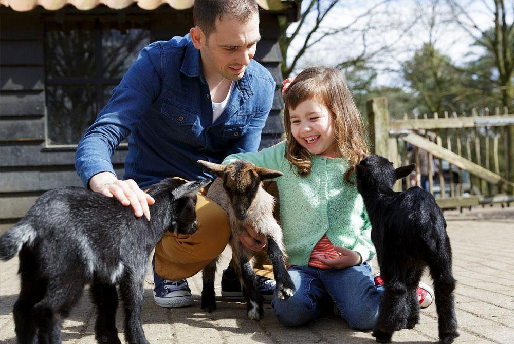 Kinderboerderij, Center Parcs De Limburgse Peel