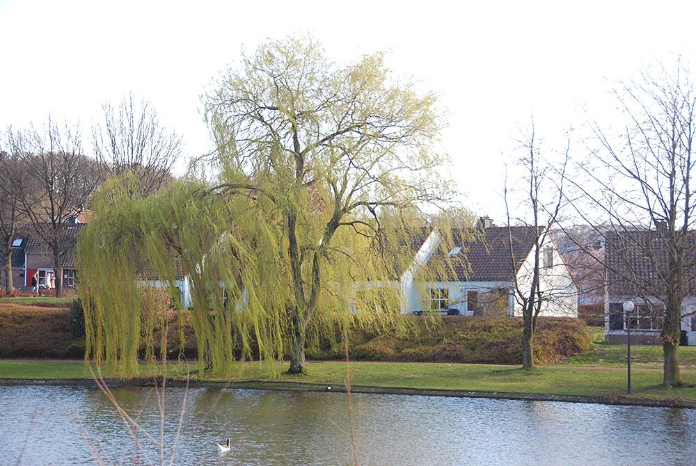 Landal Hoog Vaals meertje en huisjes