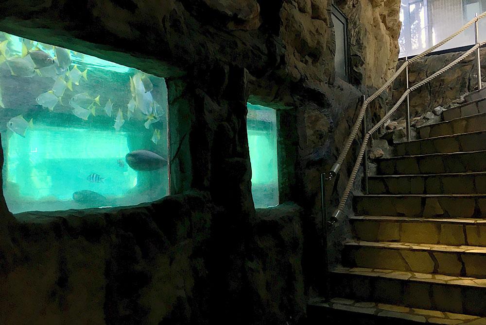 Leven-in-zee-bad, Aqua Mundo De Kempervennen