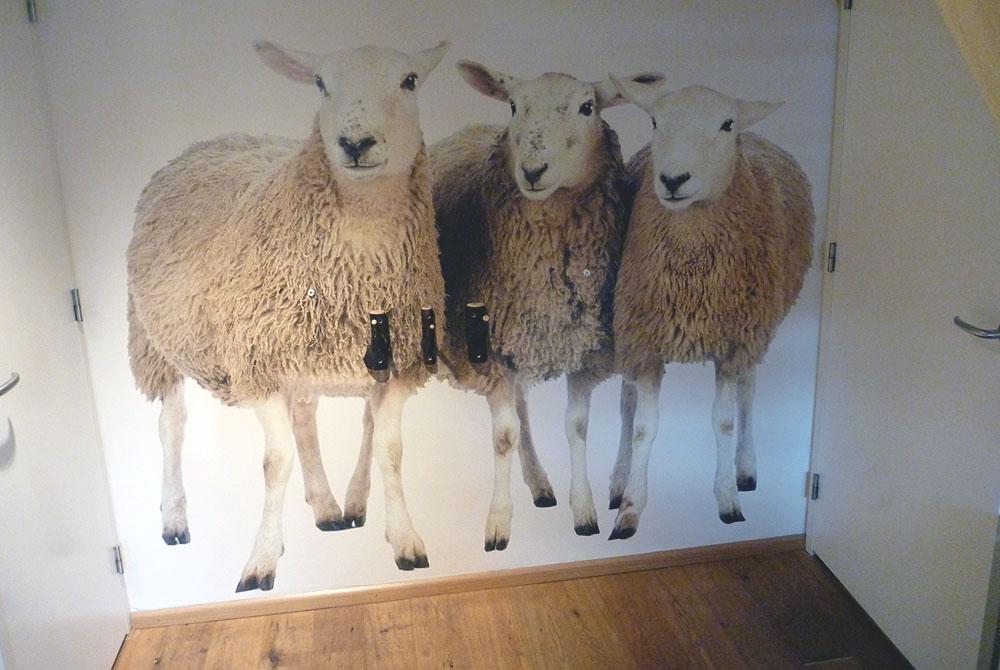 Hal met kinderkapstok, Kinder boerderij Hof van Saksen