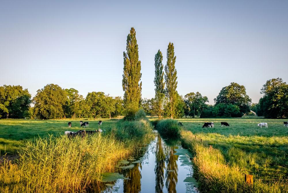 Twente landschap