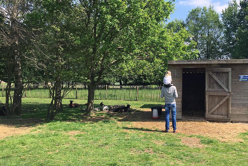 Kinderboerderij, Landal Aelderholt