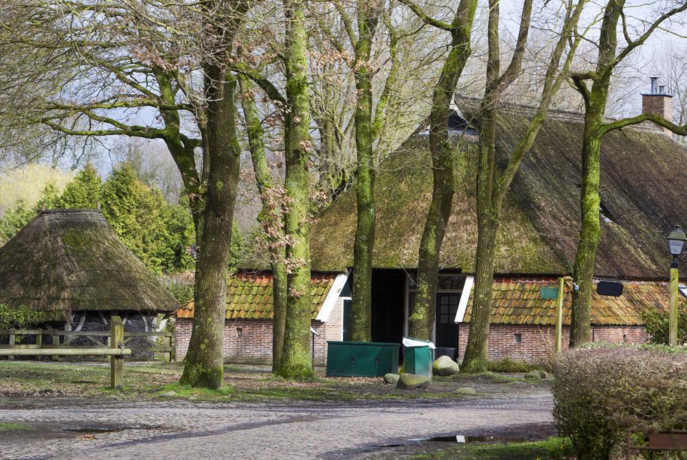 Orvelte