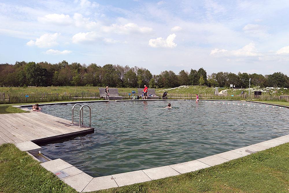 Buitenzwembad, Landal Orveltermarke
