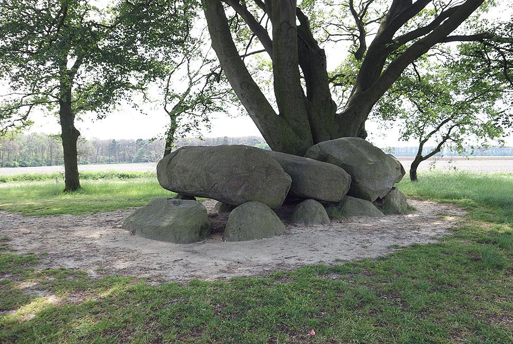 Hunebed in Drenthe