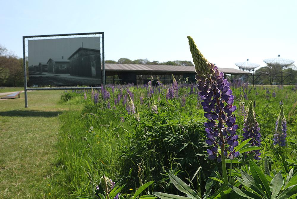 Kamp Westerbork barak