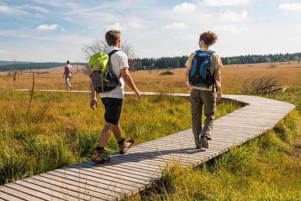 Natuurpark Hoge Venen, België