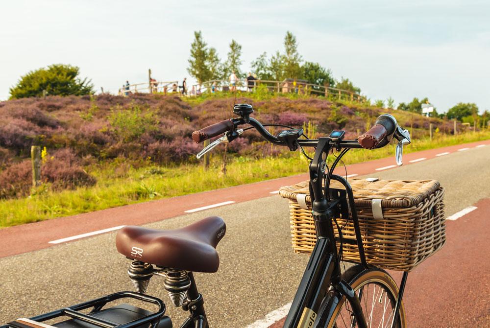 De Veluwe