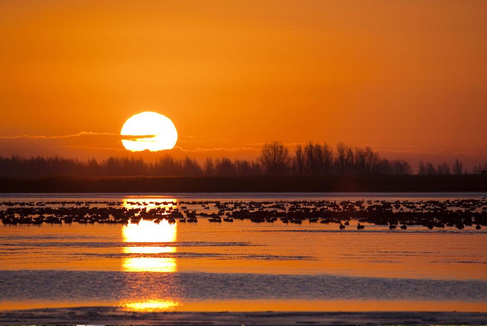 Nationaal Park Lauwersmeer, Friesland