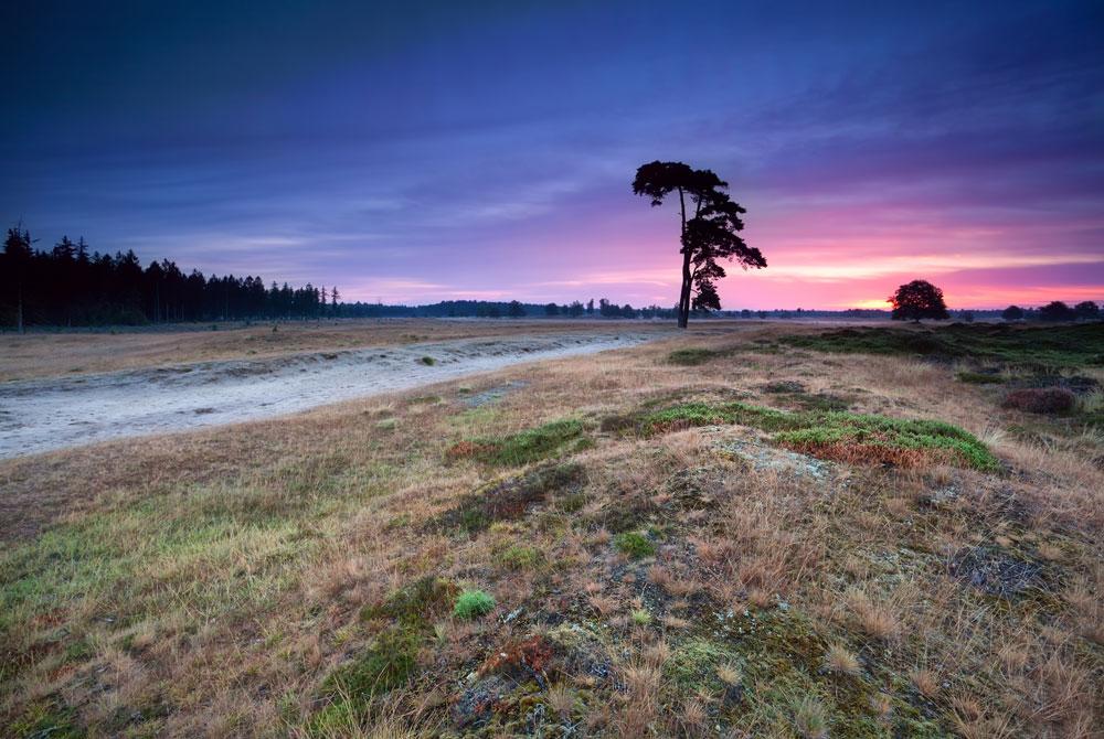 Drents-Friese Wold, Friesland