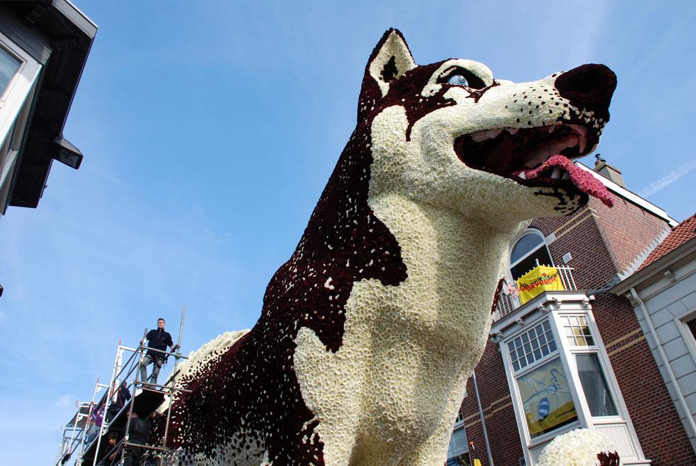 Bloemencorso Zunder, Vakantiepark Beekse Bergen