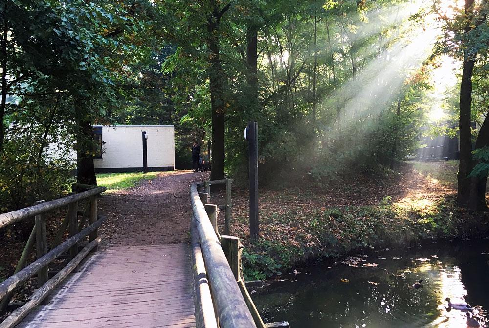 Wandelen door Center Parcs De Huttenheugte