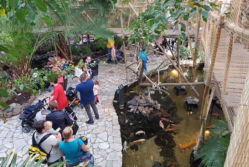 Market Dome, Center Parcs De Huttenheugte