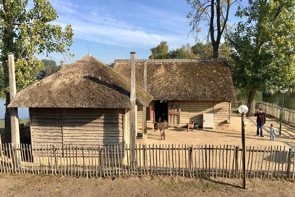 Kinderboerderij, Center Parcs De Huttenheugte