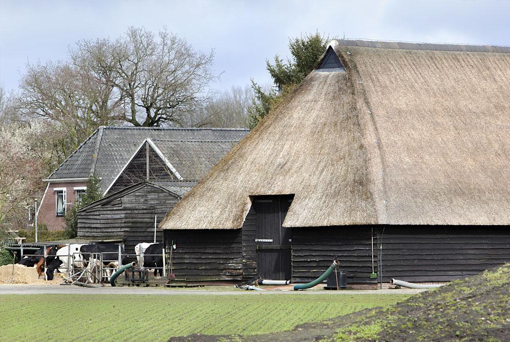 Museumdorp Orvelte, De Huttenheugte