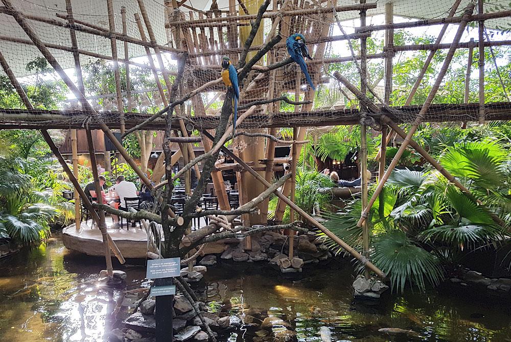 Center Parcs De Huttenheugte Market Dome