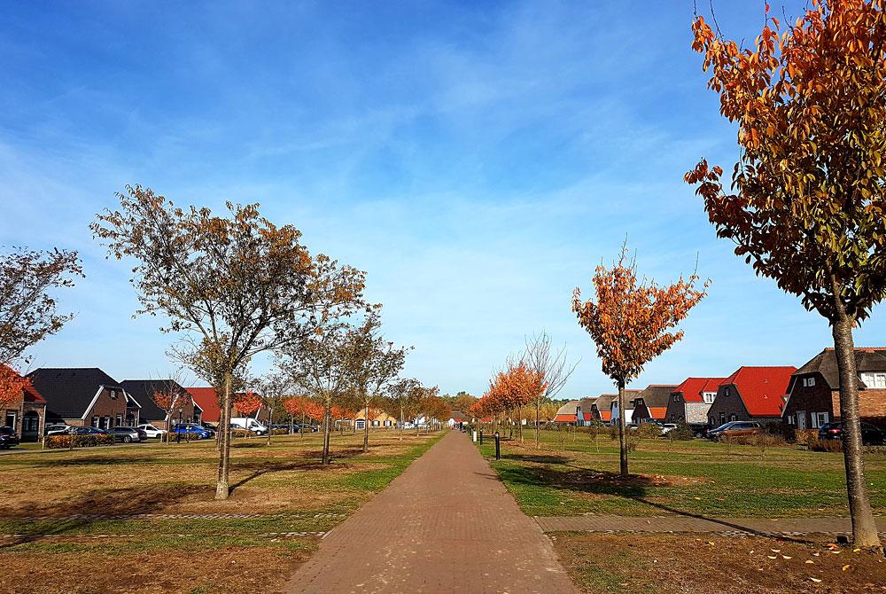 De luxe vakantieboerderijen op Buitenhof de Leistert