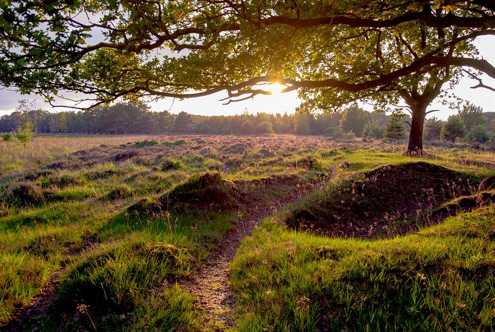 Nationaal Park Dwingelderveld, Drenthe