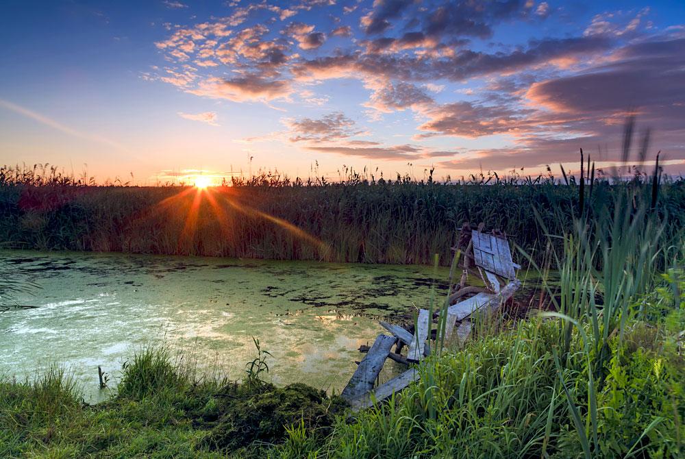 Natuur in Drenthe