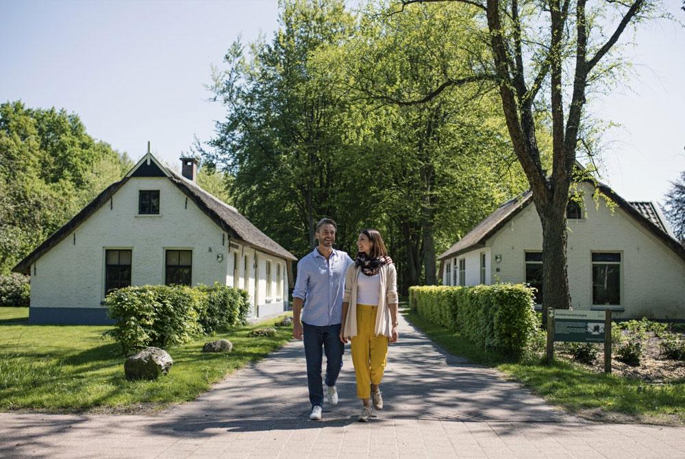 Koloniën van weldadigheid, Drenthe