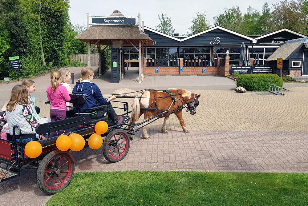 Pony, Landal Het Land van Bartje