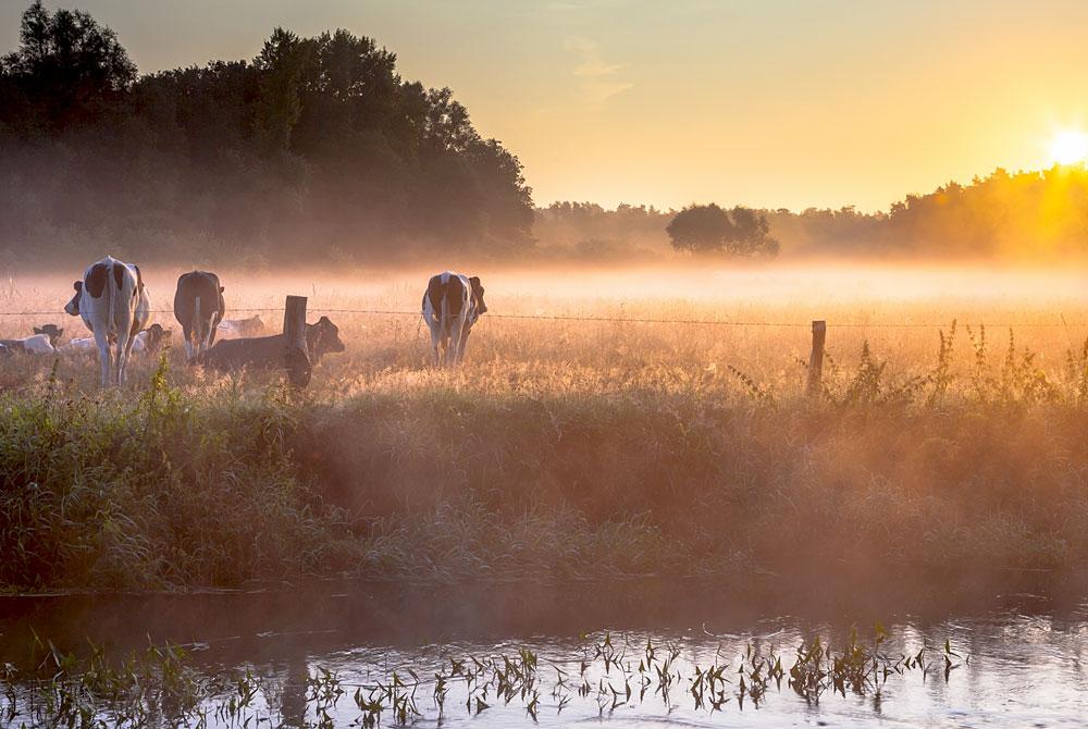 Vechtdal, Overijssel