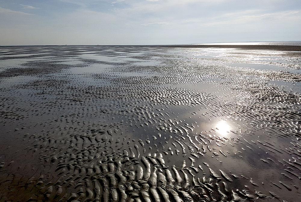 Zandplaat in de Waddenzee, Landal Esonstad