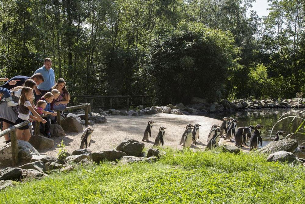 AquaZoo Friesland, Landal Esonstad