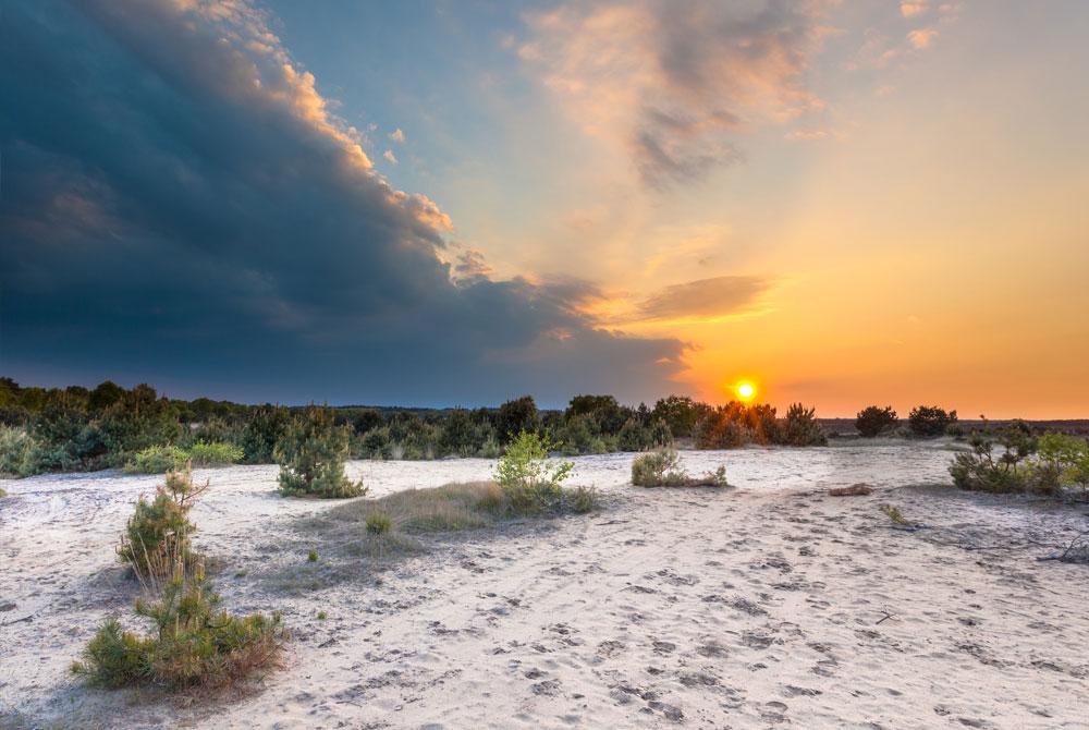 Ginkelse Heide, Veluwe