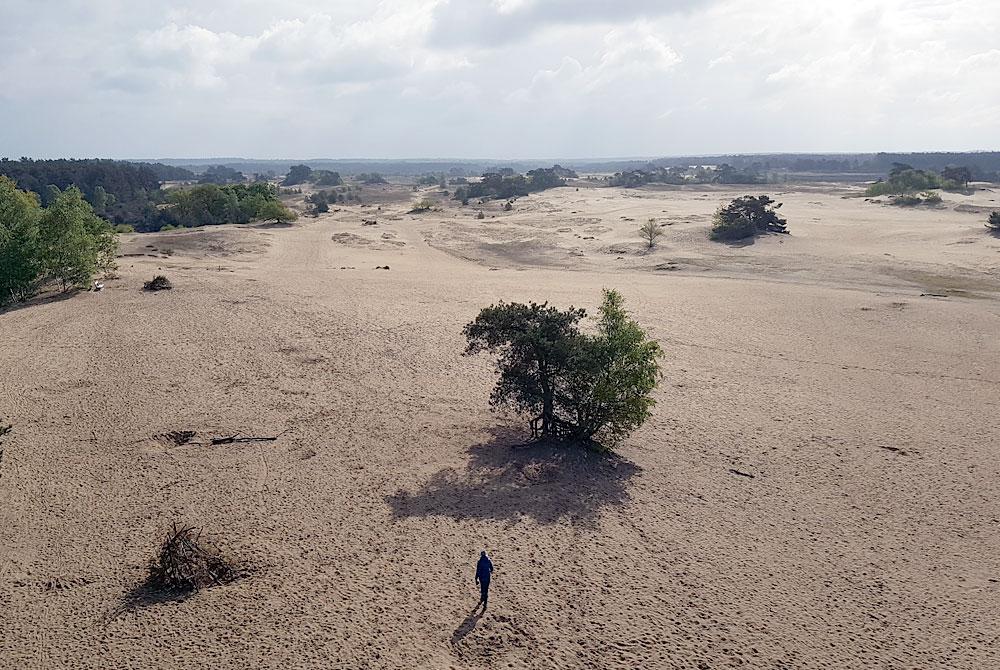 Kootwijkerzand, Veluwe