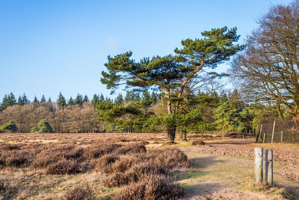 Veluwe, Landal Miggelenberg