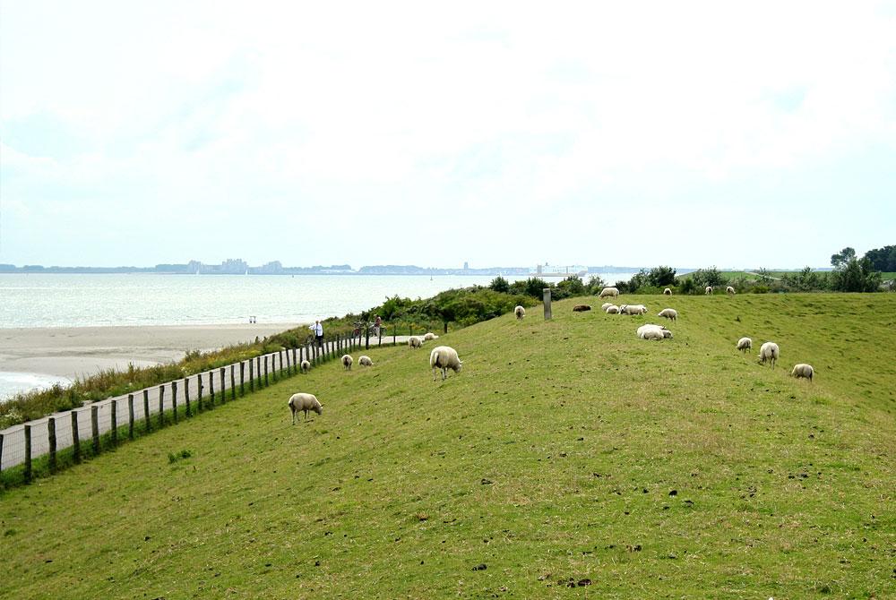 Strand Ritthem, Zeeland