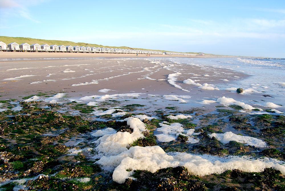 Huisjes op het stand, Landal Strandhuisjes Julianadorp