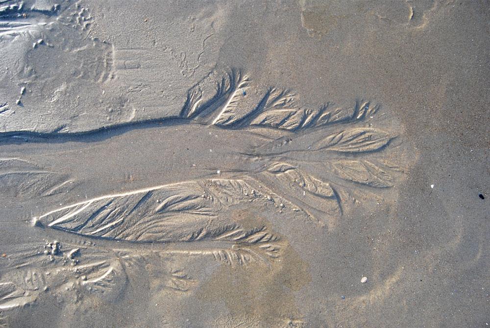 Strand, Landal Strandhuisjes Julianadorp