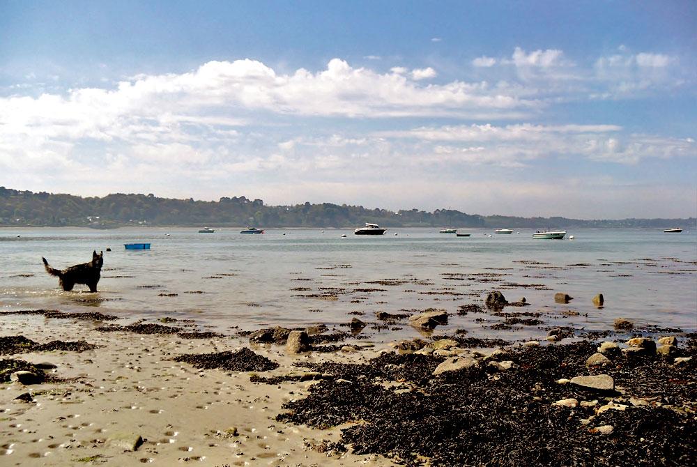 Strand, RCN Port l'Epine