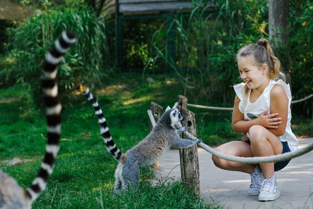 Dierenrijk in Nuenen