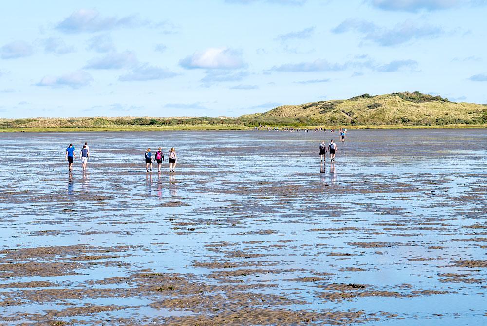 Wadlopen, Ameland