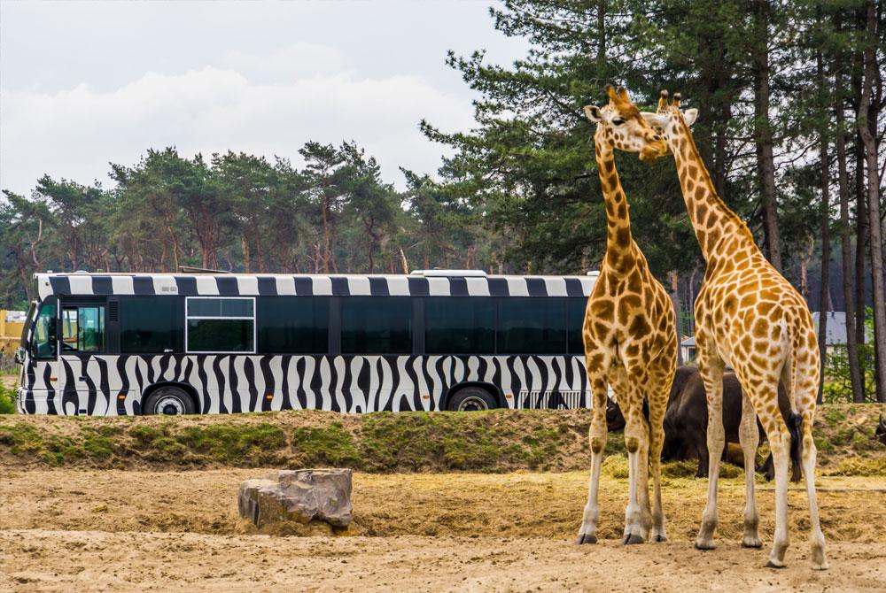 Safaripark Beekse Bergen, Landal Duc de Brabant