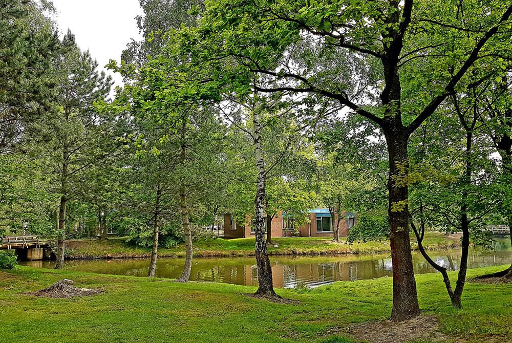 Bungalowpark Weerterbergen