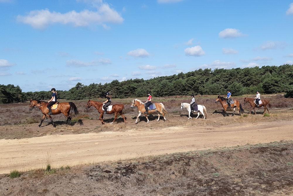 Ponyrijden Van Horne Hoeve, Vakantiepark Weerterbergen