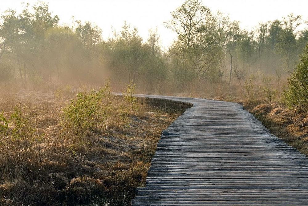 Nationaal Park De Groote Peel, Vakantiepark Weerterbergen