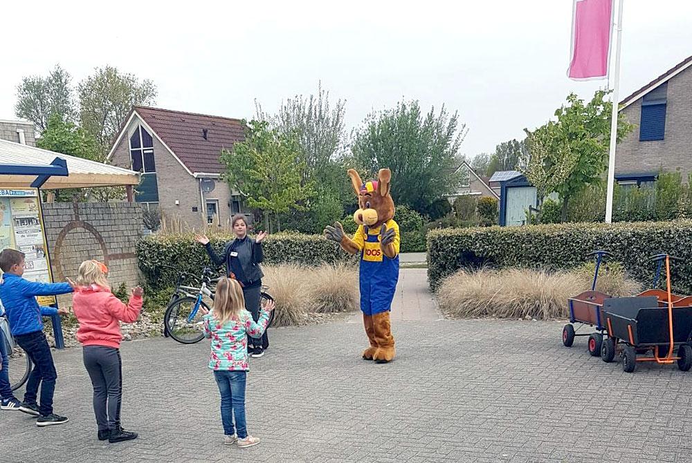 Koos Konijn