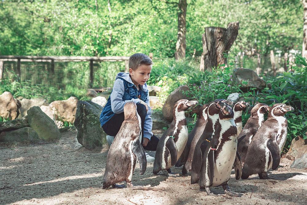 AquaZoo in Leeuwarden