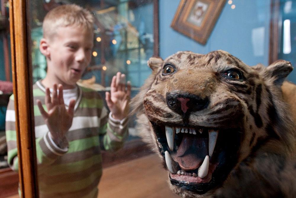 Natuurmuseum Fryslân – Leeuwarden, Friesland