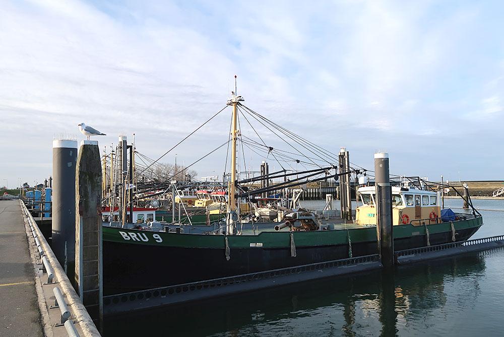 Vissersboot, Bruinisse