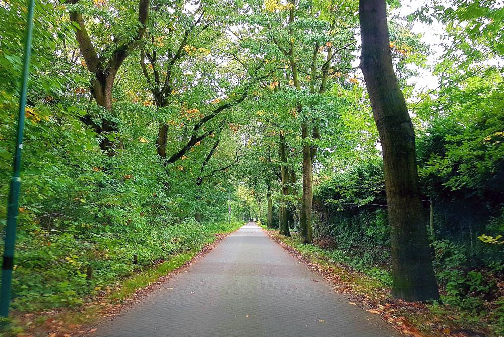 Fietsen, Landal Kaatsheuvel