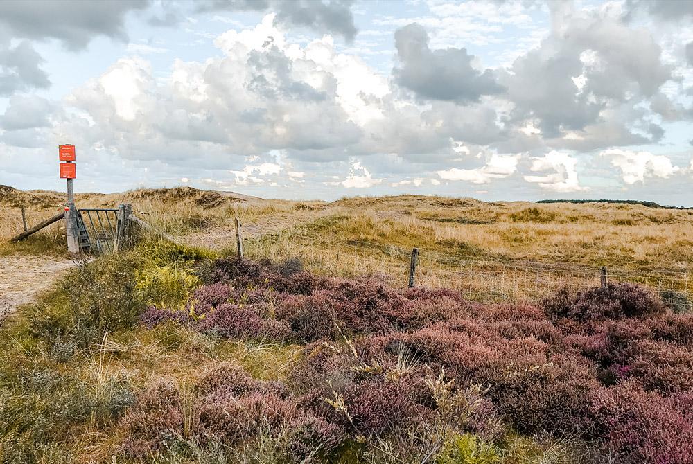 Duinen Ameland, Roompot Vakantiepark Boomhiemke