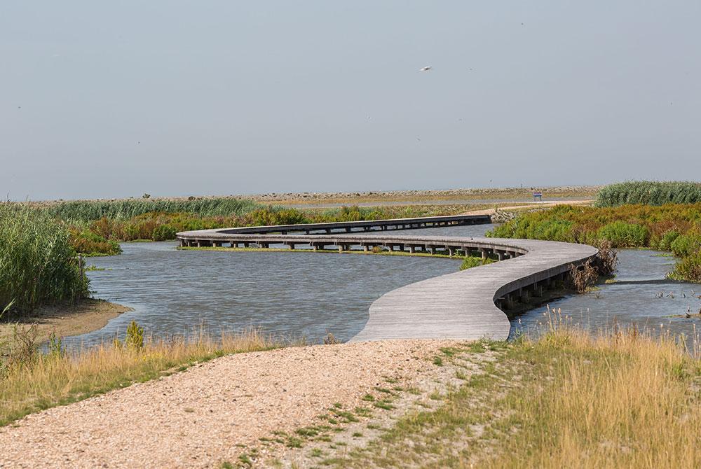 Landal Marker Wadden