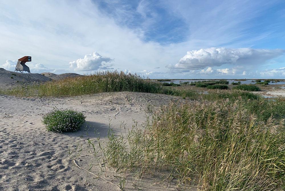 Uitkijktoren, Landal Marker Wadden
